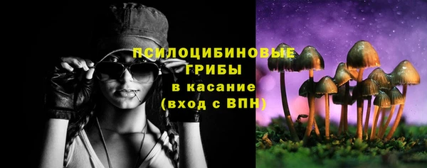 гашик Армянск