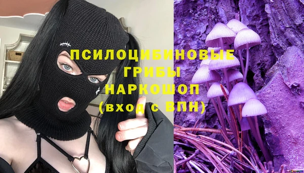 гашик Армянск