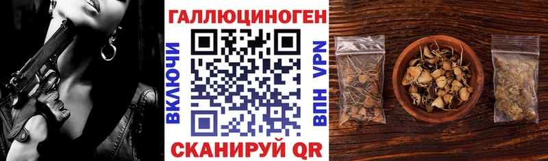 где купить   Рыбное  Псилоцибиновые грибы GOLDEN TEACHER 